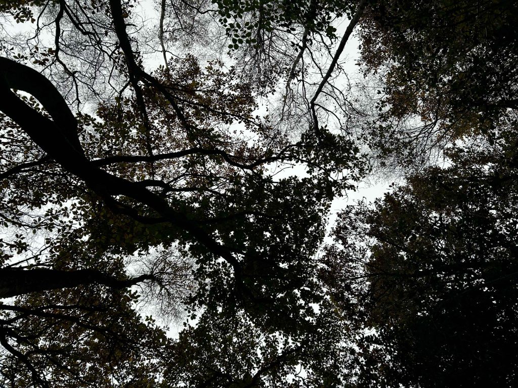 Positionality